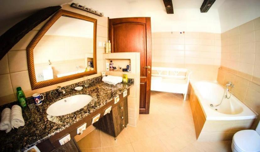 The Attic Apartment Brasov Ngoại thất bức ảnh